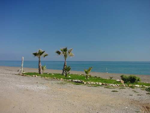 Strand-Restaurante-Dorada